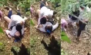 Abg Sma Viral on Social Media Video Viral Indonesia in 2025 Cewek Ketahuan Main di Kebun Ketagihan Wiwik Bertiga Bareng Temen Smp Iclik di Apartemen of All Time Trending Guru Viral